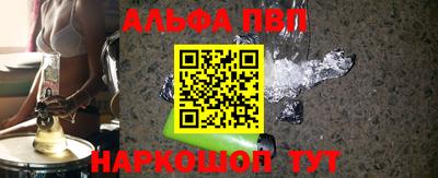 СК Новодвинск