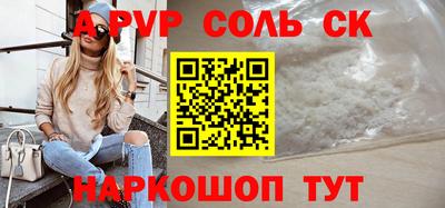 СК Новодвинск