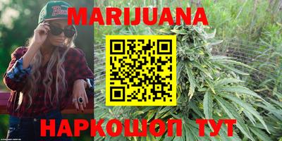 СК Новодвинск