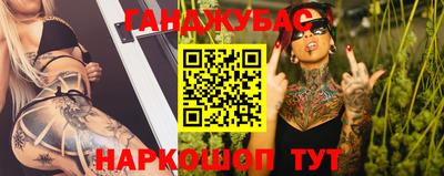 СК Новодвинск