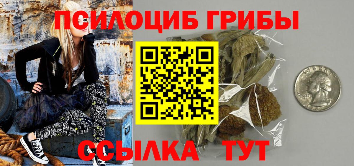 Галлюциногенные грибы Psilocybine cubensis  Вход с VPN  Советский  Галлюциногенные грибы прущие грибы 